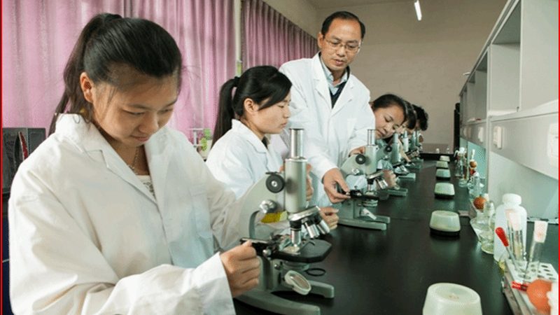 植物提取物提取方法：揭秘其背后的技术奥秘**
