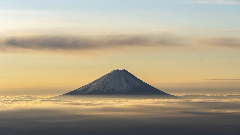 医药OEM厂家：揭秘行业“隐形冠军”的选拔标准