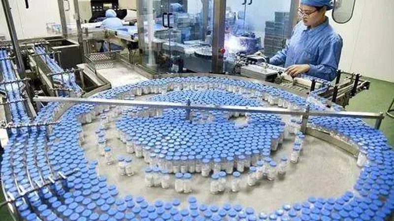 小标题：药用辅料在药品中的作用