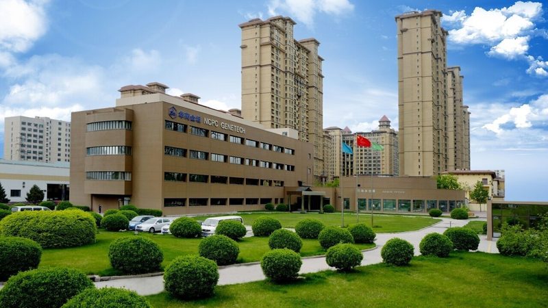 原料药价格波动背后的因素解析