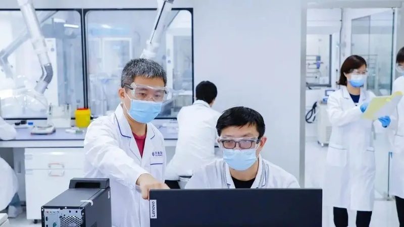 中药材种植代理：未来市场前景解析**